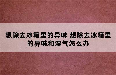 想除去冰箱里的异味 想除去冰箱里的异味和湿气怎么办